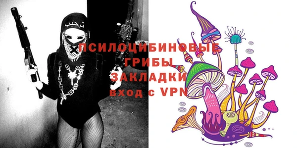 крисы Гусь-Хрустальный