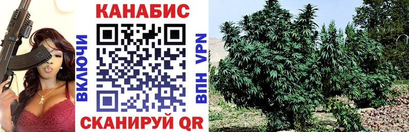 Канабис THC 21%  Пугачёв 